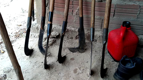 "Guerra no campo: Maranhão, palco de intensos conflitos agrários!"