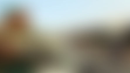 A Costa do Marfim e a ONU: Algumas reflexões quatro anos depois do golpe