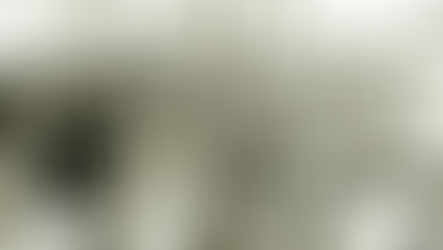 "A comunicação, estratégia da Revolução"