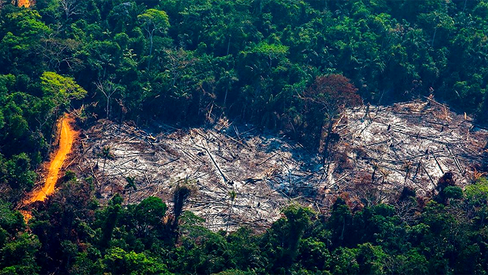 Capital financeiro banca destruição ambiental e violência contra camponeses e indígenas no Brasil