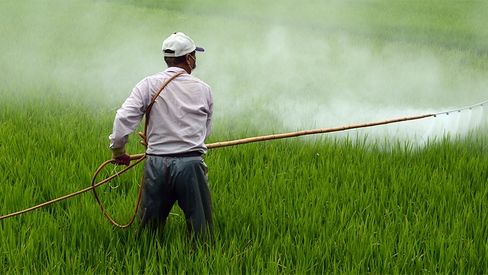 "Brasil: uma nação contaminada por agrotóxicos"