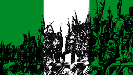 "Nigéria, terror contra terror"