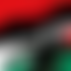 "Intensificar a luta em todas as suas formas pela causa palestina"