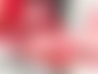 "O movimento revolucionário da Índia celebra o 25º aniversário do Exército Guerrilheiro de Libertação Popular"