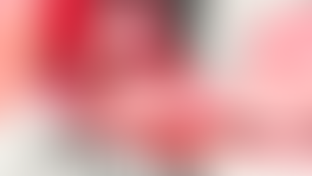 "O movimento revolucionário da Índia celebra o 25º aniversário do Exército Guerrilheiro de Libertação Popular"