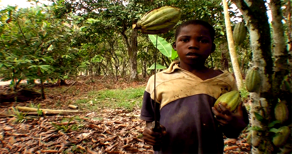 "As crianças tristes do cacau na África ocidental"