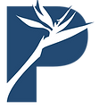 7.png
