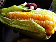 Cronica Gastronómica desde Lima 1