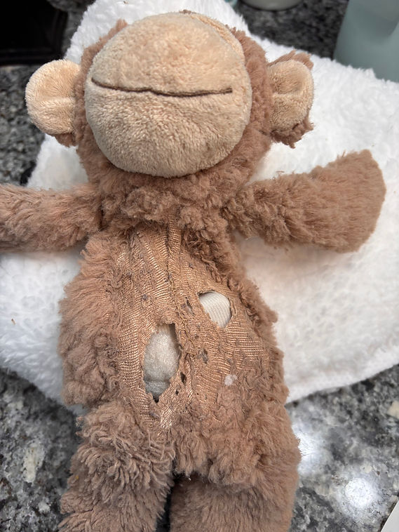 monkey 2 before ripped body.jpeg
