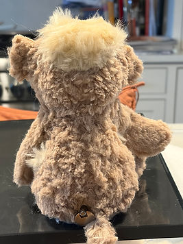 Stuffed animal with new fur.
