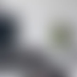 Plantas Feng Shui: uma planta para ativar cada área do Ba’guá