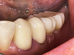 photo_2024-11-16 12.28.26