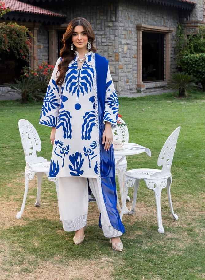 AMZI FARSHI SALWAR COLLECTIONS