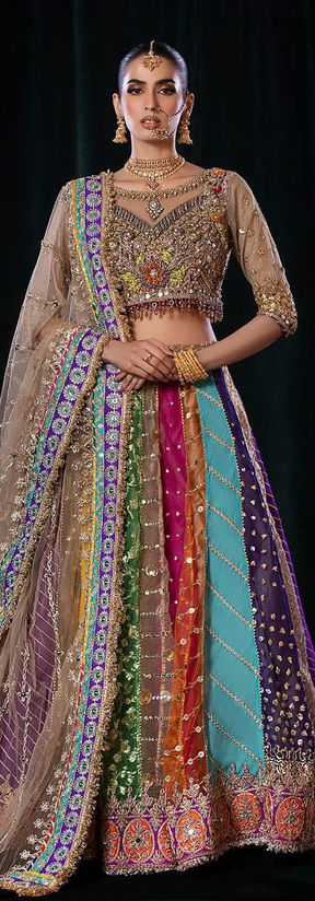 Buy Lucknowi Chikankari Saree Collection Online for Women