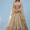 Thumbnail: Bridal Khwabeeda Beige White Lehenga Set In Foil Organza With 3D Embroidery