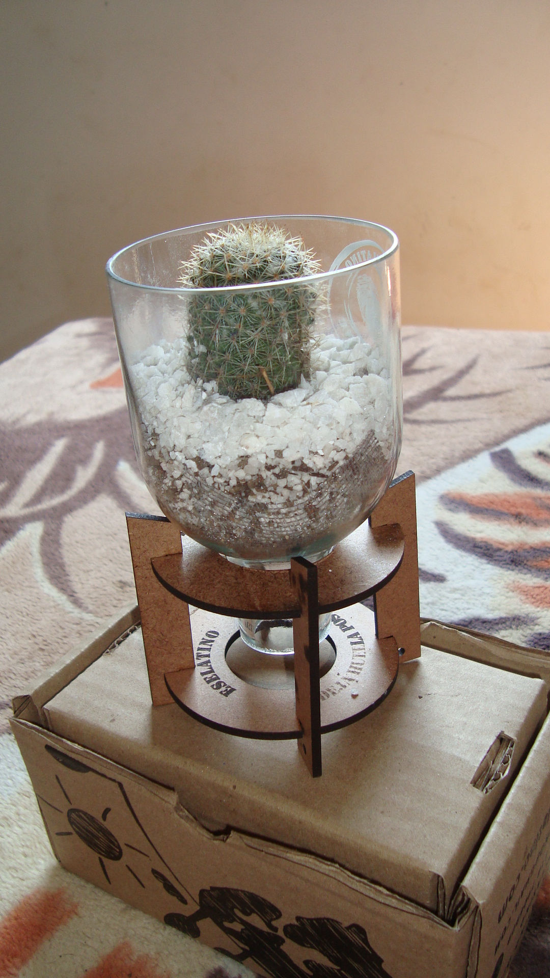 TERRARIO PARA CACTUS Y SUCULENTAS