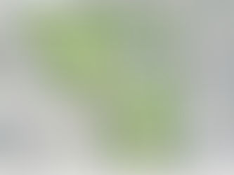 Cobalt Partners has new $100 million development plan in Bayside, without an apartment tower