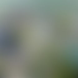 Big Vision, Big Plans for Downtown Kenosha 