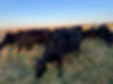 IMG_0057.jpeg