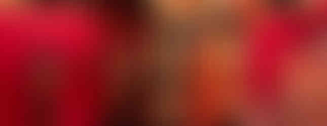 Nara, visit nara, hina matsuri, dolls festival, girls festival, nara city, Nara visitor center, sarusawa inn