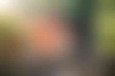 tenkawa village, dorogawa onsen, ryusen-ji temple