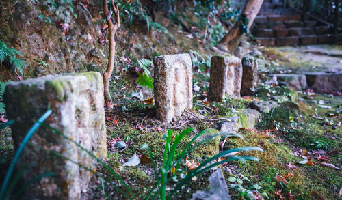 Byakugo-ji Temple, Byakugoji, Yamanobe-no-Michi, Japan's oldest road, hiking, Nara top tourist attractions, Things to do and see in Nara Japan, things to do around Nara Japan, things to do at Nara park, things to do in Nara for the first time, things to do in Nara in 1 day, things to do in Nara Japan guide, where is Nara Japan, Nara city in Japan, Nara backpackers, Nara hotels, how long to spend in Nara, Nara in Japan, Nara  location, Nara Nara Japan, Nara map, best hotels in Nara, Nara Japan attractions, Nara Japan things to do, things to do in Nara winter, things to do in Nara with kids, things to do Nara Japan, top 10 tourist attractions in Nara Japan, top attractions in Nara Japan, top best things to see in Nara Japan, top ten things to do in Nara Japan, top things to see in Nara Japan, top tourist attractions in Nara Japan, tourism Nara Japan, tourist attractions in Nara Japan, travel to Nara Japan, unique things to do in Nara Japan, Nara tourism office, Nara city tourism, Nara Japan travel info, Nara Japan tourism, Nara Japan travel