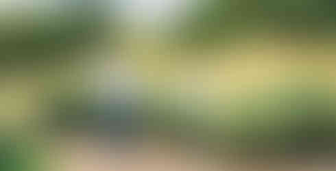 Sunflower, Umami Kyuryo Park, Summer flowers, Lotus, Nara top tourist attractions, Things to do and see in Nara Japan, things to do around Nara Japan, things to do at Nara park, things to do in Nara for the first time, things to do in Nara in 1 day, things to do in Nara Japan guide, where is Nara Japan, Nara city in Japan, Nara backpackers, Nara hotels, how long to spend in Nara, Nara in Japan, Nara location, Nara Nara Japan, Nara map, best hotels in Nara, Nara Japan attractions, Nara Japan things to do, things to do in Nara winter, things to do in Nara with kids, things to do Nara Japan, top 10 tourist attractions in Nara Japan, top attractions in Nara Japan, top best things to see in Nara Japan, top ten things to do in Nara Japan, top things to see in Nara Japan, top tourist attractions in Nara Japan, tourism Nara Japan, tourist attractions in Nara Japan, travel to Nara Japan, unique things to do in Nara Japan, Nara tourism office, Nara city tourism, Nara Japan travel info, Nara Japan tourism, Nara Japan travel,