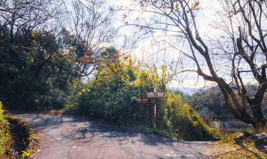 Yamanobe-no-Michi, Japan's oldest road, hiking, Nara top tourist attractions, Things to do and see in Nara Japan, things to do around Nara Japan, things to do at Nara park, things to do in Nara for the first time, things to do in Nara in 1 day, things to do in Nara Japan guide, where is Nara Japan, Nara city in Japan, Nara backpackers, Nara hotels, how long to spend in Nara, Nara in Japan, Nara  location, Nara Nara Japan, Nara map, best hotels in Nara, Nara Japan attractions, Nara Japan things to do, things to do in Nara winter, things to do in Nara with kids, things to do Nara Japan, top 10 tourist attractions in Nara Japan, top attractions in Nara Japan, top best things to see in Nara Japan, top ten things to do in Nara Japan, top things to see in Nara Japan, top tourist attractions in Nara Japan, tourism Nara Japan, tourist attractions in Nara Japan, travel to Nara Japan, unique things to do in Nara Japan, Nara tourism office, Nara city tourism, Nara Japan travel info, Nara Japan tourism, Nara Japan travel