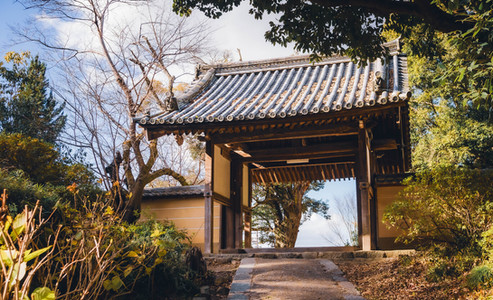 Chogaku-ji, Chogaku-ji Temple, Yamanobe-no-Michi, Japan's oldest road, hiking, Nara top tourist attractions, Things to do and see in Nara Japan, things to do around Nara Japan, things to do at Nara park, things to do in Nara for the first time, things to do in Nara in 1 day, things to do in Nara Japan guide, where is Nara Japan, Nara city in Japan, Nara backpackers, Nara hotels, how long to spend in Nara, Nara in Japan, Nara  location, Nara Nara Japan, Nara map, best hotels in Nara, Nara Japan attractions, Nara Japan things to do, things to do in Nara winter, things to do in Nara with kids, things to do Nara Japan, top 10 tourist attractions in Nara Japan, top attractions in Nara Japan, top best things to see in Nara Japan, top ten things to do in Nara Japan, top things to see in Nara Japan, top tourist attractions in Nara Japan, tourism Nara Japan, tourist attractions in Nara Japan, travel to Nara Japan, unique things to do in Nara Japan, Nara tourism office, Nara city tourism, Nara Japan travel info, Nara Japan tourism, Nara Japan travel
