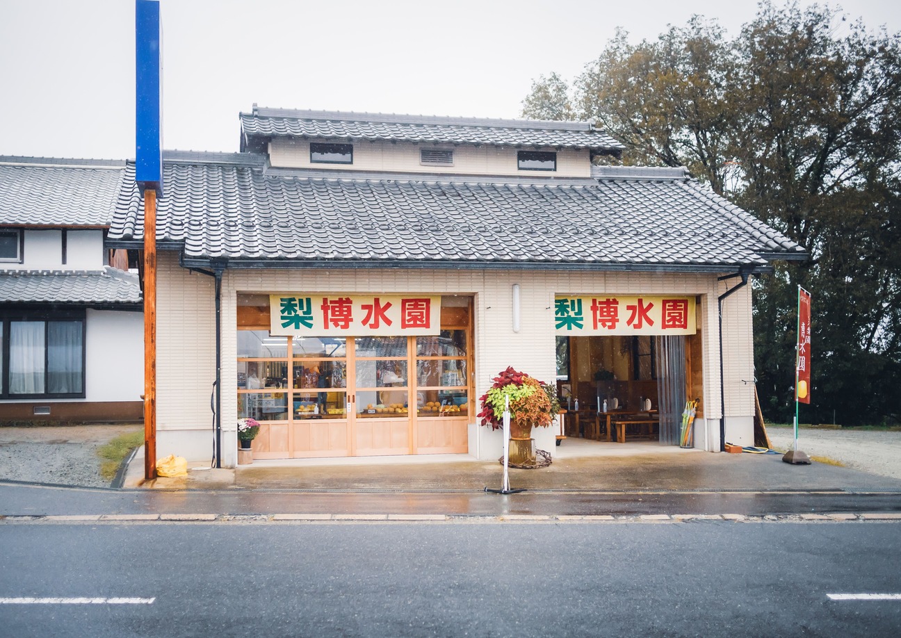 Pear Hunting, Hakusui-en Orchard, Oyodo Town, Nara top tourist attractions, Take a jinrikisha rickshaw ride in Nara City, things to do and see in Nara Japan, things to do around Nara Japan, things to do at Nara park, things to do in Nara for the first time, things to do in Nara in 1 day, things to do in Nara Japan guide, where is Nara Japan, Nara city in Japan, Nara backpackers, Nara hotels, how long to spend in Nara, Nara in Japan, Nara  location, Nara Nara Japan, Nara map, best hotels in Nara, Nara Japan attractions, Nara Japan things to do, things to do in Nara winter, things to do in Nara with kids, things to do Nara Japan, top 10 tourist attractions in Nara Japan, top attractions in Nara Japan, top best things to see in Nara Japan, top ten things to do in Nara Japan, top things to see in Nara Japan, top tourist attractions in Nara Japan, tourism Nara Japan, tourist attractions in Nara Japan, travel to Nara Japan, unique things to do in Nara Japan, Nara tourism office, Nara city tourism, Nara Japan travel info, Nara Japan tourism, Nara Japan travel, 