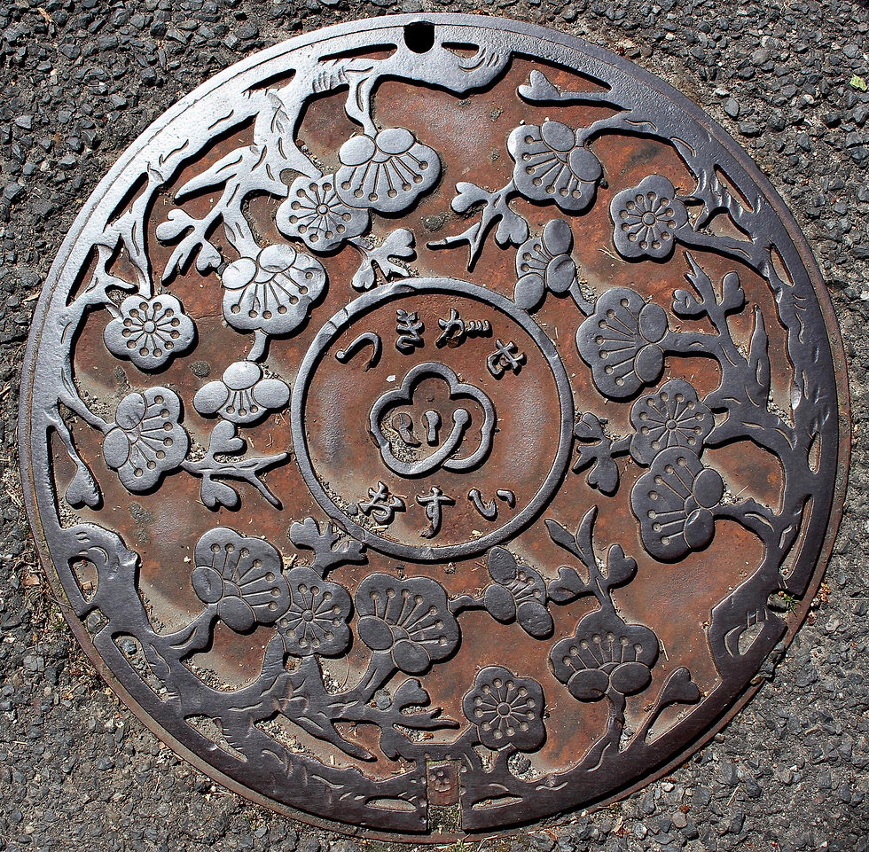 manhole, Japan manhole covers, Nara japan, nara, nara tourism, visit japan, japanese culture, tsukigase plum