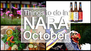 things to do in nara in october