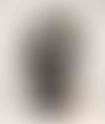 Suzakumon Plaza, Heijo Palace, Izanaikai, Museums in Nara, Best museums in Nara, Nara top tourist attractions, Take a jinrikisha rickshaw ride in Nara City, things to do and see in Nara Japan, things to do around Nara Japan, things to do at Nara park, things to do in Nara for the first time, things to do in Nara in 1 day, things to do in Nara Japan guide, where is Nara Japan, Nara city in Japan, Nara backpackers, Nara hotels, how long to spend in Nara, Nara in Japan, Nara location, Nara Nara Japan, Nara map, best hotels in Nara, Nara Japan attractions, Nara Japan things to do, things to do in Nara winter, things to do in Nara with kids, things to do Nara Japan, top 10 tourist attractions in Nara Japan, top attractions in Nara Japan, top best things to see in Nara Japan, top ten things to do in Nara Japan, top things to see in Nara Japan, top tourist attractions in Nara Japan, tourism Nara Japan, tourist attractions in Nara Japan, travel to Nara Japan, unique things to do in Nara Japan, Nara tourism office, Nara city tourism, Nara Japan travel info, Nara Japan tourism, Nara Japan travel