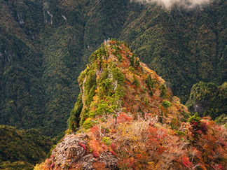 Nara Events October , Nara top tourist attractions, Things to do and see in Nara Japan, things to do around Nara Japan, things to do at Nara park, things to do in Nara for the first time, things to do in Nara in 1 day, things to do in Nara Japan guide, where is Nara Japan, Nara city in Japan, Nara backpackers, Nara hotels, how long to spend in Nara, Nara in Japan, Nara location, Nara Nara Japan, Nara map, best hotels in Nara, Nara Japan attractions, Nara Japan things to do, things to do in Nara winter, things to do in Nara with kids, things to do Nara Japan, top 10 tourist attractions in Nara Japan, top attractions in Nara Japan, top best things to see in Nara Japan, top ten things to do in Nara Japan, top things to see in Nara Japan, top tourist attractions in Nara Japan, tourism Nara Japan, tourist attractions in Nara Japan, travel to Nara Japan, unique things to do in Nara Japan, Nara tourism office, Nara city tourism, Nara Japan travel info, Nara Japan tourism, Nara Japan travel, odaigahara