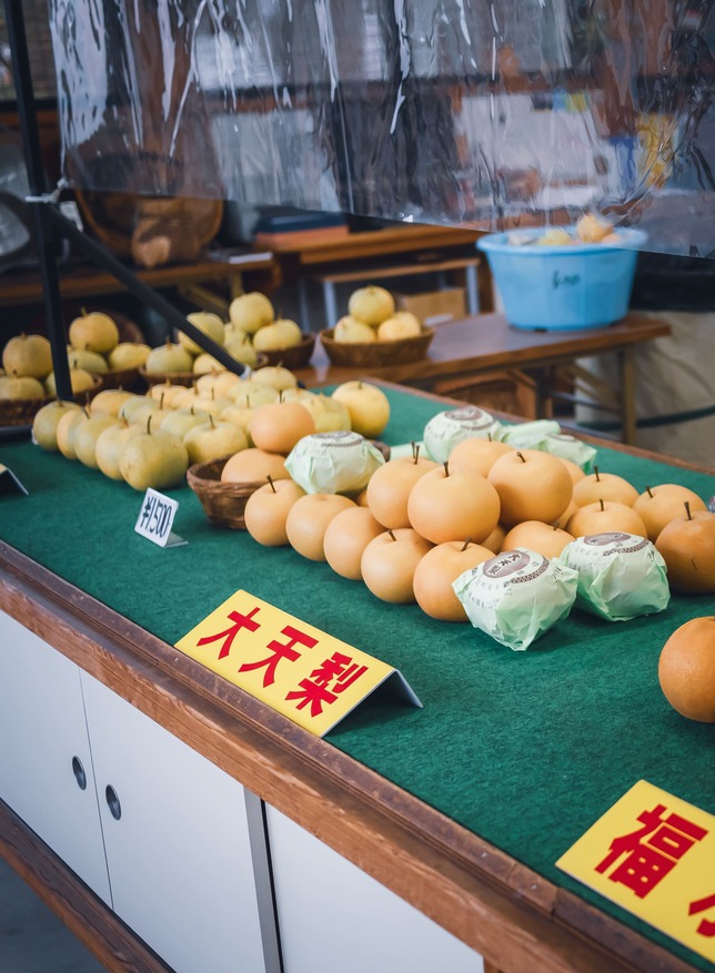Pear Hunting, Hakusui-en Orchard, Oyodo Town, Nara top tourist attractions, Take a jinrikisha rickshaw ride in Nara City, things to do and see in Nara Japan, things to do around Nara Japan, things to do at Nara park, things to do in Nara for the first time, things to do in Nara in 1 day, things to do in Nara Japan guide, where is Nara Japan, Nara city in Japan, Nara backpackers, Nara hotels, how long to spend in Nara, Nara in Japan, Nara  location, Nara Nara Japan, Nara map, best hotels in Nara, Nara Japan attractions, Nara Japan things to do, things to do in Nara winter, things to do in Nara with kids, things to do Nara Japan, top 10 tourist attractions in Nara Japan, top attractions in Nara Japan, top best things to see in Nara Japan, top ten things to do in Nara Japan, top things to see in Nara Japan, top tourist attractions in Nara Japan, tourism Nara Japan, tourist attractions in Nara Japan, travel to Nara Japan, unique things to do in Nara Japan, Nara tourism office, Nara city tourism, Nara Japan travel info, Nara Japan tourism, Nara Japan travel, 