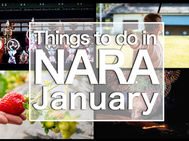Things To Do in Nara January