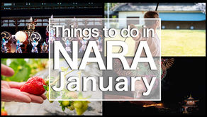 Things To Do in Nara January