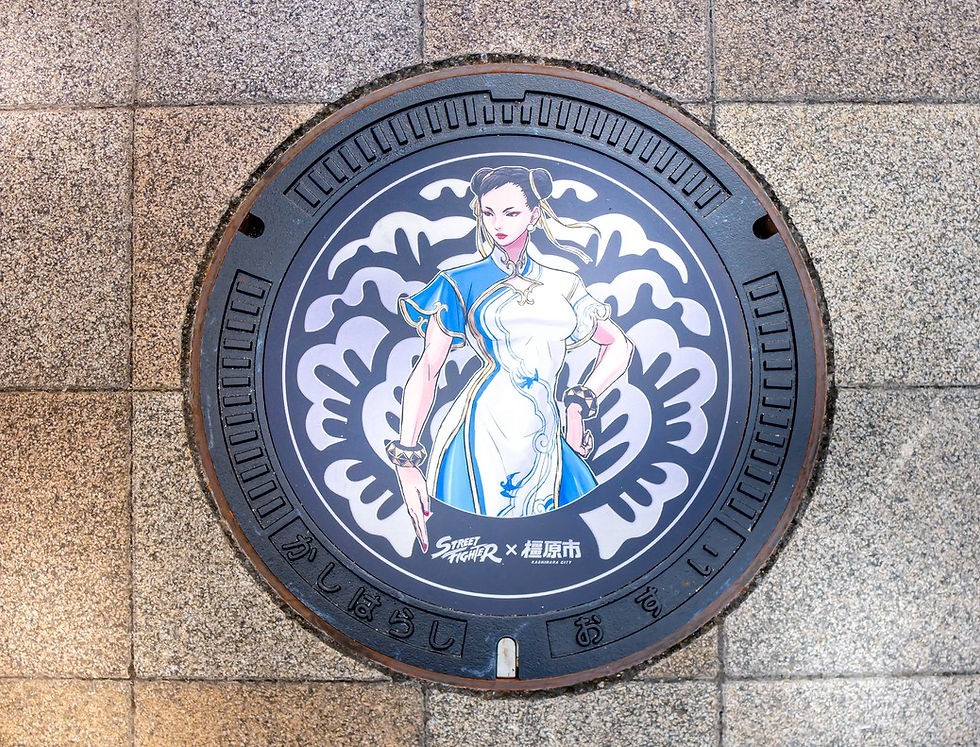 streetfighter manhole, Japan manhole covers, Nara japan, nara, nara tourism, visit japan, japanese culture, kashihara city, chun-li