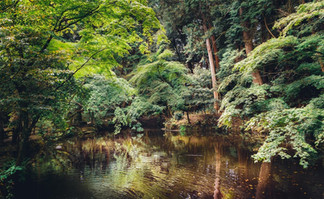 Isonkami, Isonkami Jingu, Yamanobe-no-Michi, Japan's oldest road, hiking, Nara top tourist attractions, Things to do and see in Nara Japan, things to do around Nara Japan, things to do at Nara park, things to do in Nara for the first time, things to do in Nara in 1 day, things to do in Nara Japan guide, where is Nara Japan, Nara city in Japan, Nara backpackers, Nara hotels, how long to spend in Nara, Nara in Japan, Nara  location, Nara Nara Japan, Nara map, best hotels in Nara, Nara Japan attractions, Nara Japan things to do, things to do in Nara winter, things to do in Nara with kids, things to do Nara Japan, top 10 tourist attractions in Nara Japan, top attractions in Nara Japan, top best things to see in Nara Japan, top ten things to do in Nara Japan, top things to see in Nara Japan, top tourist attractions in Nara Japan, tourism Nara Japan, tourist attractions in Nara Japan, travel to Nara Japan, unique things to do in Nara Japan, Nara tourism office, Nara city tourism, Nara Japan travel info, Nara Japan tourism, Nara Japan travel