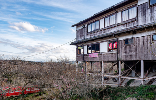 Tsukigase plum grove, Plum grove, plums, Nara top tourist attractions, Things to do and see in Nara Japan, things to do around Nara Japan, things to do at Nara park, things to do in Nara for the first time, things to do in Nara in 1 day, things to do in Nara Japan guide, where is Nara Japan, Nara city in Japan, Nara backpackers, Nara hotels, how long to spend in Nara, Nara in Japan, Nara location, Nara Nara Japan, Nara map, best hotels in Nara, Nara Japan attractions, Nara Japan things to do, things to do in Nara winter, things to do in Nara with kids, things to do Nara Japan, top 10 tourist attractions in Nara Japan, top attractions in Nara Japan, top best things to see in Nara Japan, top ten things to do in Nara Japan, top things to see in Nara Japan, top tourist attractions in Nara Japan, tourism Nara Japan, tourist attractions in Nara Japan, travel to Nara Japan, unique things to do in Nara Japan, Nara tourism office, Nara city tourism, Nara Japan travel info, Nara Japan tourism, Nara Japan travel
