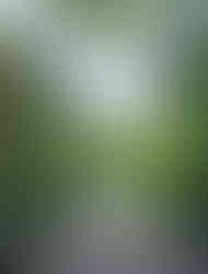 mitarai gorge, mitarai valley, tenkawa, dorogawa