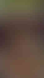 Katsuragi Hitokotonushi Shrine, Nara Sightseeing Taxi, Nara Taxi,  Nara top tourist attractions, Things to do and see in Nara Japan, things to do around Nara Japan, things to do at Nara park, things to do in Nara for the first time, things to do in Nara in 1 day, things to do in Nara Japan guide, where is Nara Japan, Nara city in Japan, Nara backpackers, Nara hotels, how long to spend in Nara, Nara in Japan, Nara  location, Nara Nara Japan, Nara map, best hotels in Nara, Nara Japan attractions, Nara Japan things to do,