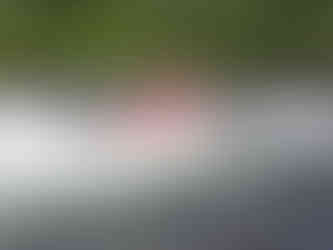Evergreen, Adventure Holiday, Yoshino River, Rafting, Gojo cafe, Gojo, Gojo city, Nara top tourist attractions, Things to do and see in Nara Japan, things to do around Nara Japan, things to do at Nara park, things to do in Nara for the first time, things to do in Nara in 1 day, things to do in Nara Japan guide, where is Nara Japan, Nara city in Japan, Nara backpackers, Nara hotels, how long to spend in Nara, Nara in Japan, Nara  location, Nara Nara Japan, Nara map, best hotels in Nara, Nara Japan attractions, Nara Japan things to do, things to do in Nara winter, things to do in Nara with kids, things to do Nara Japan, top 10 tourist attractions in Nara Japan, top attractions in Nara Japan, top best things to see in Nara Japan, top ten things to do in Nara Japan, top things to see in Nara Japan, top tourist attractions in Nara Japan, tourism Nara Japan, tourist attractions in Nara Japan, travel to Nara Japan, unique things to do in Nara Japan, Nara tourism office, Nara city tourism, Nara Japan travel info, Nara Japan tourism, Nara Japan travel, 