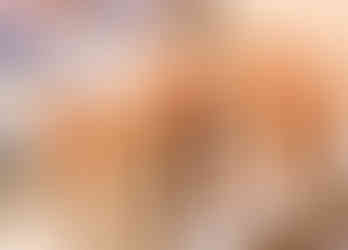 tanimura tango, tea whisk, chasen, nara cultural experience, Experiences in Nara, Nara top tourist attractions, Things to do and see in Nara Japan, things to do around Nara Japan, things to do at Nara park, things to do in Nara for the first time, things to do in Nara in 1 day, things to do in Nara Japan guide, where is Nara Japan, Nara city in Japan, Nara backpackers, Nara hotels, how long to spend in Nara, Nara in Japan, Nara location, Nara Nara Japan, Nara map, best hotels in Nara, Nara Japan attractions, Nara Japan things to do, things to do in Nara winter, things to do in Nara with kids, things to do Nara Japan, top 10 tourist attractions in Nara Japan, top attractions in Nara Japan, top best things to see in Nara Japan, top ten things to do in Nara Japan, top things to see in Nara Japan, top tourist attractions in Nara Japan, tourism Nara Japan, tourist attractions in Nara Japan, travel to Nara Japan, unique things to do in Nara Japan, Nara tourism office, Nara city tourism, Nara Japan travel info, Nara Japan tourism, Nara Japan travel