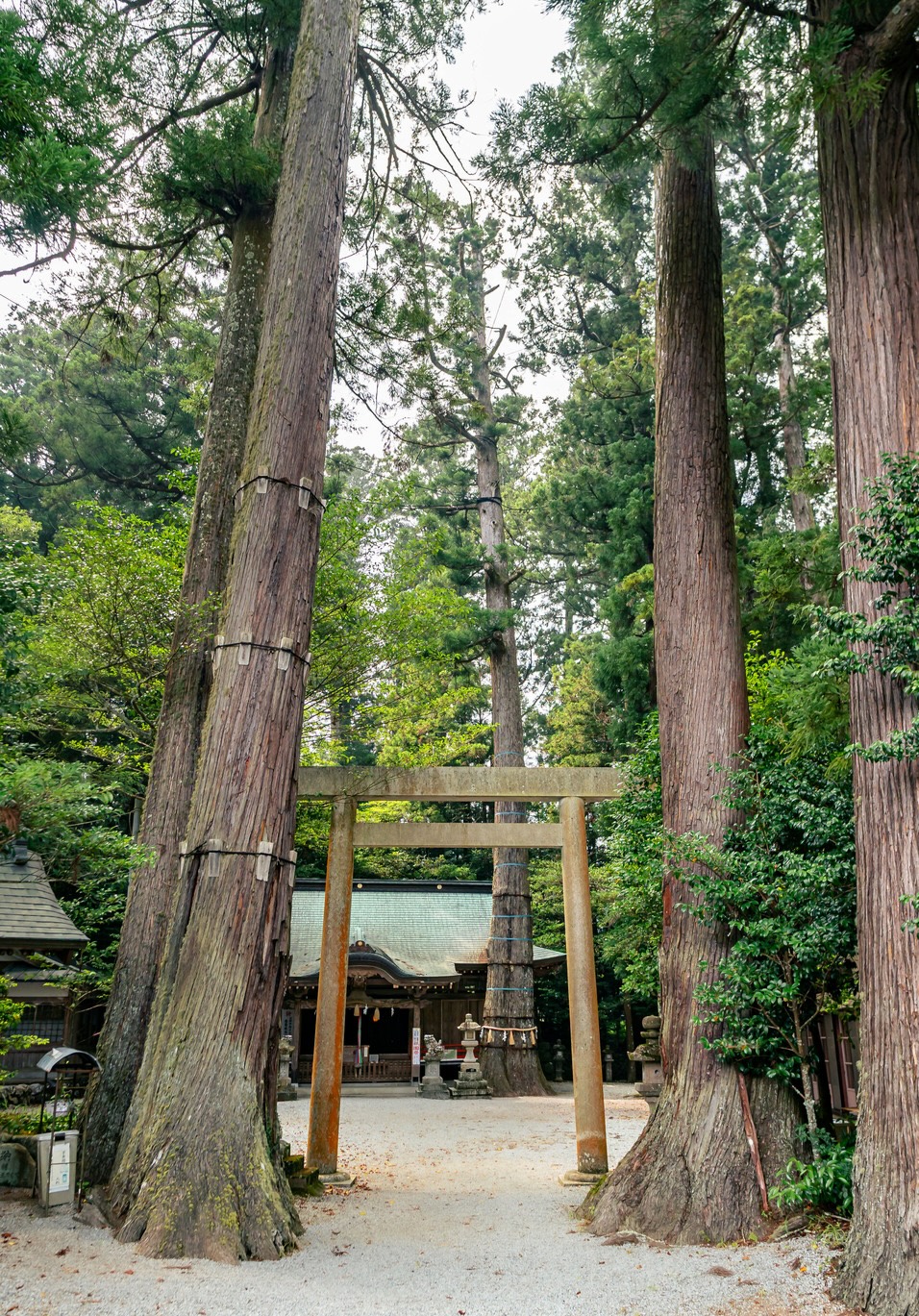 Mitsue Shrine, mitsue-mura, mitsue village, things to do in mitsue-mura village