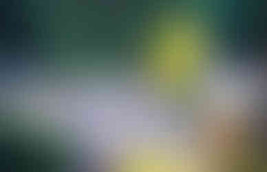 Taira no Koremori, The Genpei War, Nosegawa Village, 野迫川村, Nara top tourist attractions, Things to do and see in Nara Japan, things to do around Nara Japan, things to do at Nara park, things to do in Nara for the first time, things to do in Nara in 1 day, things to do in Nara Japan guide, where is Nara Japan, Nara city in Japan, Nara backpackers, Nara hotels, how long to spend in Nara, Nara in Japan, Nara location, Nara Nara Japan, Nara map, best hotels in Nara, Nara Japan attractions, Nara Japan things to do, things to do in Nara winter, things to do in Nara with kids, things to do Nara Japan, top 10 tourist attractions in Nara Japan, top attractions in Nara Japan, top best things to see in Nara Japan, top ten things to do in Nara Japan, top things to see in Nara Japan, top tourist attractions in Nara Japan, tourism Nara Japan, tourist attractions in Nara Japan, travel to Nara Japan, unique things to do in Nara Japan, Nara tourism office, Nara city tourism, Nara Japan travel info, Nara Japan tourism, Nara Japan travel, Hotel Nosegawa, Kumano Kodo, Kohechi, Kumano Sanzan, Nachi Taisaha, Nosegawa Village, 野迫川村, Nara top tourist attractions, Things to do and see in Nara Japan, things to do around Nara Japan, things to do at Nara park, things to do in Nara for the first time, things to do in Nara in 1 day, things to do in Nara Japan guide, where is Nara Japan, Nara city in Japan, Nara backpackers, Nara hotels, how long to spend in Nara, Nara in Japan, Nara location, Nara Nara Japan, Nara map, best hotels in Nara, Nara Japan attractions, Nara Japan things to do, things to do in Nara winter, things to do in Nara with kids, things to do Nara Japan, top 10 tourist attractions in Nara Japan, top attractions in Nara Japan, top best things to see in Nara Japan, top ten things to do in Nara Japan, top things to see in Nara Japan, top tourist attractions in Nara Japan, tourism Nara Japan, tourist attractions in Nara Japan, travel to Nara Japan, unique things to do in Nara Japan, Nara tourism office, Nara city tourism, Nara Japan travel info, Nara Japan tourism, Nara Japan travel,