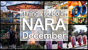 Things To Do In Nara - December Events