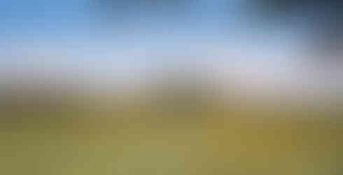 Yellow Cosmos, Fujiwara-kyo, Iris, Summer flowers, Lotus, Nara top tourist attractions, Things to do and see in Nara Japan, things to do around Nara Japan, things to do at Nara park, things to do in Nara for the first time, things to do in Nara in 1 day, things to do in Nara Japan guide, where is Nara Japan, Nara city in Japan, Nara backpackers, Nara hotels, how long to spend in Nara, Nara in Japan, Nara location, Nara Nara Japan, Nara map, best hotels in Nara, Nara Japan attractions, Nara Japan things to do, things to do in Nara winter, things to do in Nara with kids, things to do Nara Japan, top 10 tourist attractions in Nara Japan, top attractions in Nara Japan, top best things to see in Nara Japan, top ten things to do in Nara Japan, top things to see in Nara Japan, top tourist attractions in Nara Japan, tourism Nara Japan, tourist attractions in Nara Japan, travel to Nara Japan, unique things to do in Nara Japan, Nara tourism office, Nara city tourism, Nara Japan travel info, Nara Japan tourism, Nara Japan travel,