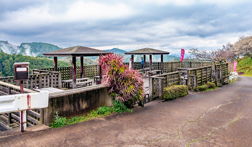 Hirohashi bairin, hirohashi plum grove, shimoichi