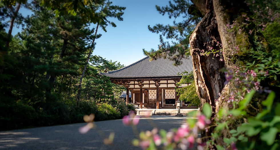 Nara Events October, Toshodai-ji Temple, Nara top tourist attractions, Things to do and see in Nara Japan, things to do around Nara Japan, things to do at Nara park, things to do in Nara for the first time, things to do in Nara in 1 day, things to do in Nara Japan guide, where is Nara Japan, Nara city in Japan, Nara backpackers, Nara hotels, how long to spend in Nara, Nara in Japan, Nara location, Nara Nara Japan, Nara map, best hotels in Nara, Nara Japan attractions, Nara Japan things to do, things to do in Nara winter, things to do in Nara with kids, things to do Nara Japan, top 10 tourist attractions in Nara Japan, top attractions in Nara Japan, top best things to see in Nara Japan, top ten things to do in Nara Japan, top things to see in Nara Japan, top tourist attractions in Nara Japan, tourism Nara Japan, tourist attractions in Nara Japan, travel to Nara Japan, unique things to do in Nara Japan, Nara tourism office, Nara city tourism, Nara Japan travel info, Nara Japan tourism, Nara Japan travel